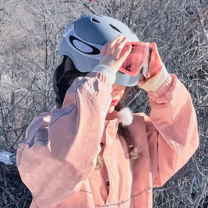 神偷燕子李三